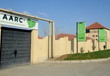 Фоторепортаж из бакинского Центра спасения животных, где для бездомных животных созданы прекрасные условия (ФОТО)