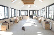 Фоторепортаж из бакинского Центра спасения животных, где для бездомных животных созданы прекрасные условия (ФОТО)