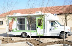 Фоторепортаж из бакинского Центра спасения животных, где для бездомных животных созданы прекрасные условия (ФОТО)