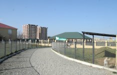 Фоторепортаж из бакинского Центра спасения животных, где для бездомных животных созданы прекрасные условия (ФОТО)