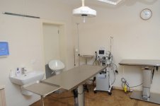 Фоторепортаж из бакинского Центра спасения животных, где для бездомных животных созданы прекрасные условия (ФОТО)