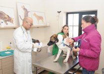 Фоторепортаж из бакинского Центра спасения животных, где для бездомных животных созданы прекрасные условия (ФОТО)