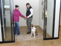 Фоторепортаж из бакинского Центра спасения животных, где для бездомных животных созданы прекрасные условия (ФОТО)