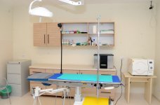 Фоторепортаж из бакинского Центра спасения животных, где для бездомных животных созданы прекрасные условия (ФОТО)