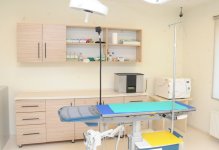 Фоторепортаж из бакинского Центра спасения животных, где для бездомных животных созданы прекрасные условия (ФОТО)