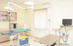 Фоторепортаж из бакинского Центра спасения животных, где для бездомных животных созданы прекрасные условия (ФОТО)