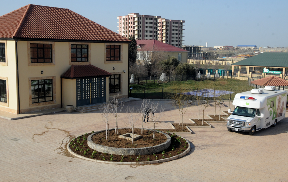 Фоторепортаж из бакинского Центра спасения животных, где для бездомных животных созданы прекрасные условия (ФОТО)