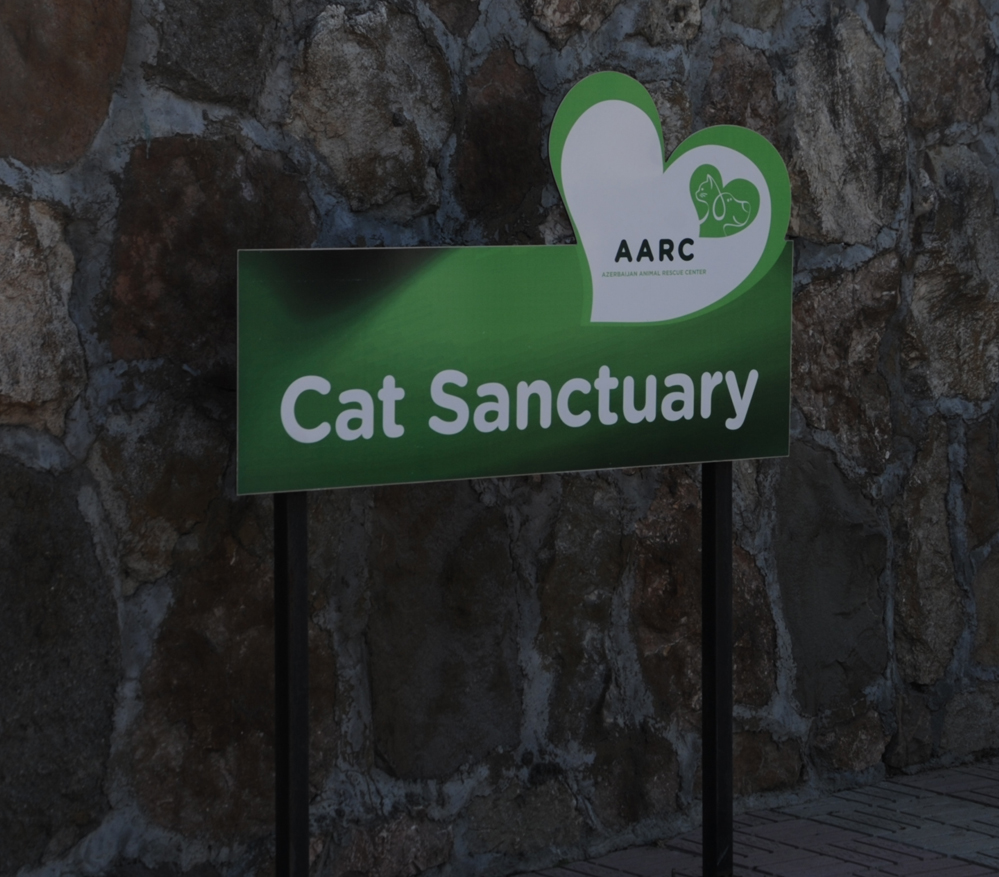 Фоторепортаж из бакинского Центра спасения животных, где для бездомных животных созданы прекрасные условия (ФОТО)