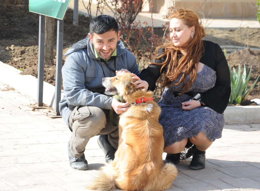 Фоторепортаж из бакинского Центра спасения животных, где для бездомных животных созданы прекрасные условия (ФОТО)
