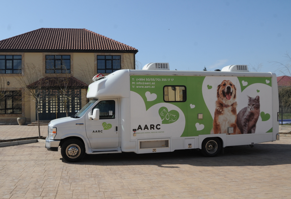 Фоторепортаж из бакинского Центра спасения животных, где для бездомных животных созданы прекрасные условия (ФОТО)