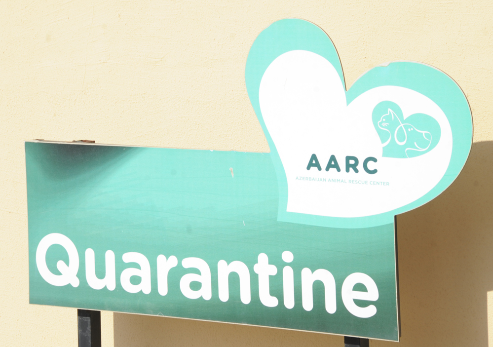 Фоторепортаж из бакинского Центра спасения животных, где для бездомных животных созданы прекрасные условия (ФОТО)