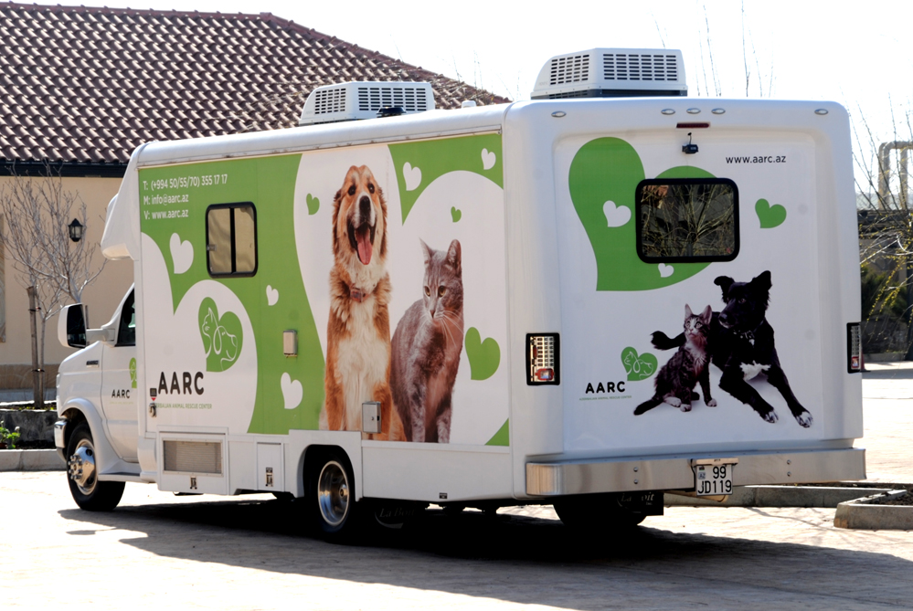 Фоторепортаж из бакинского Центра спасения животных, где для бездомных животных созданы прекрасные условия (ФОТО)