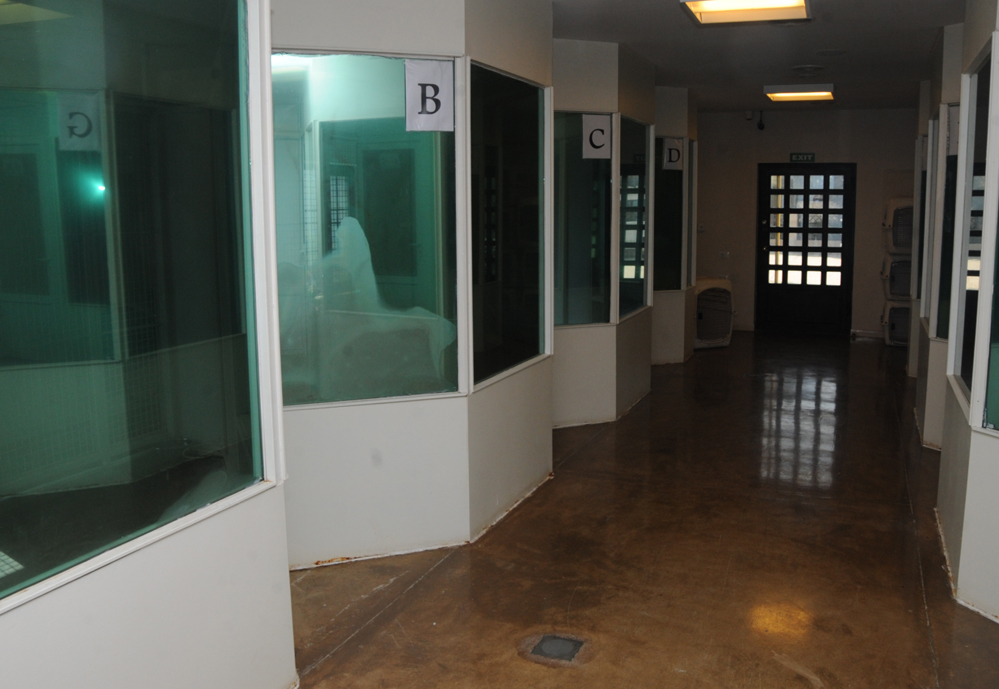 Фоторепортаж из бакинского Центра спасения животных, где для бездомных животных созданы прекрасные условия (ФОТО)