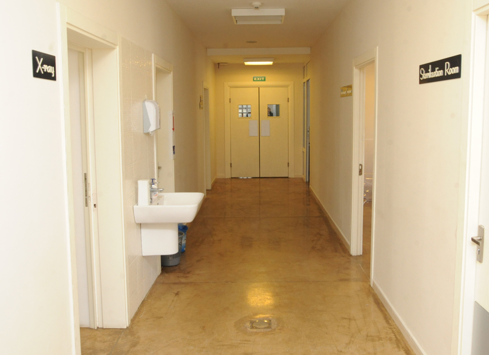 Фоторепортаж из бакинского Центра спасения животных, где для бездомных животных созданы прекрасные условия (ФОТО)