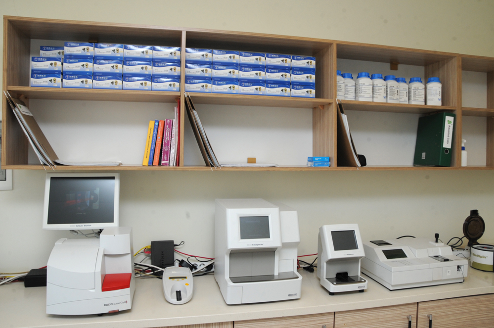 Фоторепортаж из бакинского Центра спасения животных, где для бездомных животных созданы прекрасные условия (ФОТО)