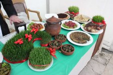 Красочный Новруз объединил тюркоязычные народы в Баку (ФОТО)