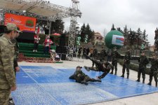 Красочный Новруз объединил тюркоязычные народы в Баку (ФОТО)