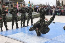 Красочный Новруз объединил тюркоязычные народы в Баку (ФОТО)