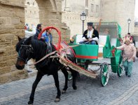 Фаэтоны, верблюды, герои Новруза на улицах Баку - праздничный караван "Ахыр чершенбе" (ФОТО)