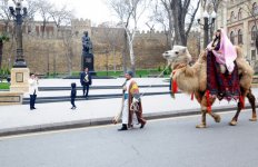 Фаэтоны, верблюды, герои Новруза на улицах Баку - праздничный караван "Ахыр чершенбе" (ФОТО)