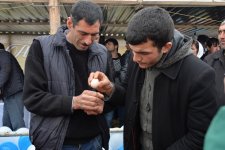 В Азербайджане прошел конкурс по битве на куриных яйцах (ФОТО)