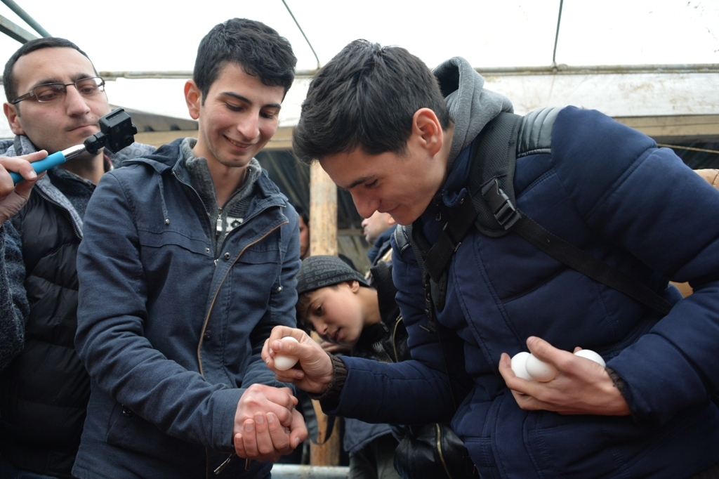 В Азербайджане прошел конкурс по битве на куриных яйцах (ФОТО)