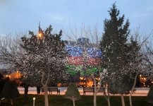 В Баку пришла весна (ФОТО)