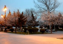 В Баку пришла весна (ФОТО)