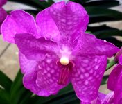 В Баку пришла весна (ФОТО)