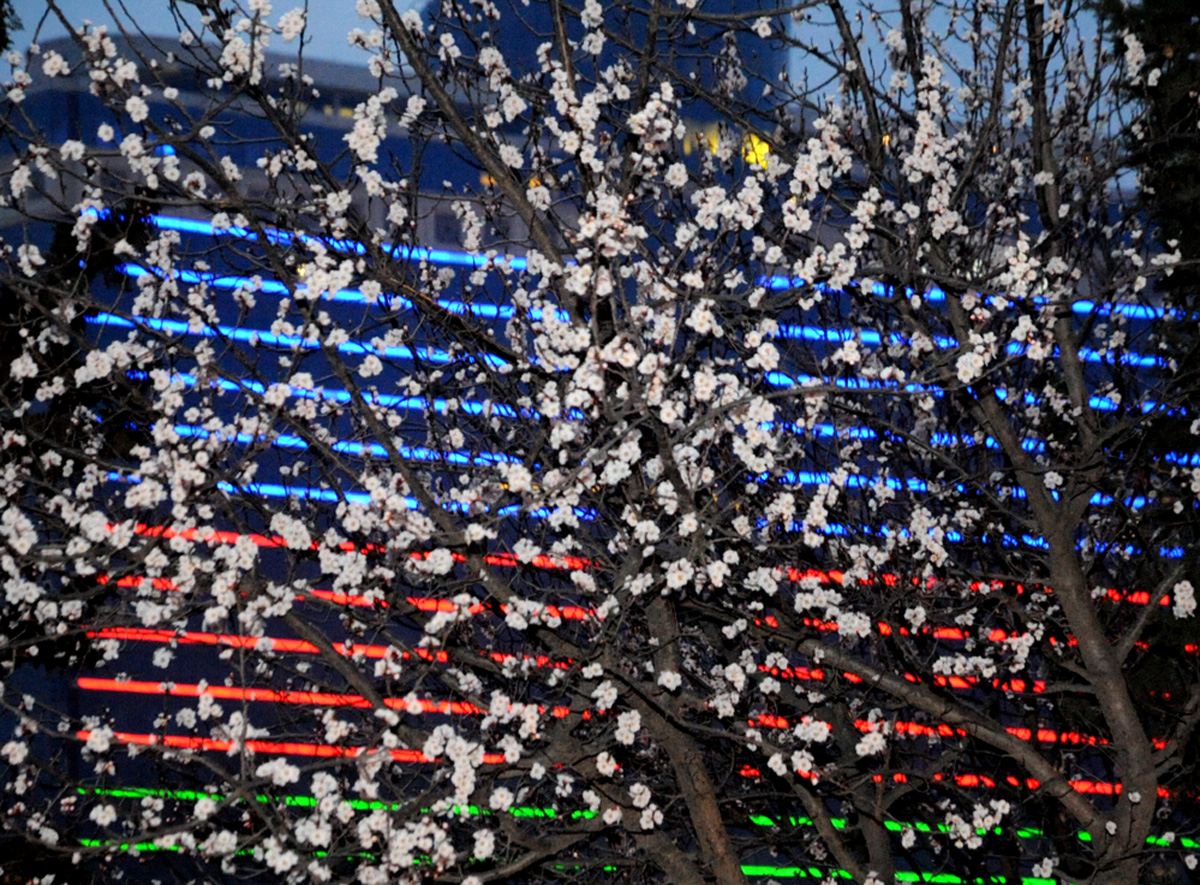 В Баку пришла весна (ФОТО)