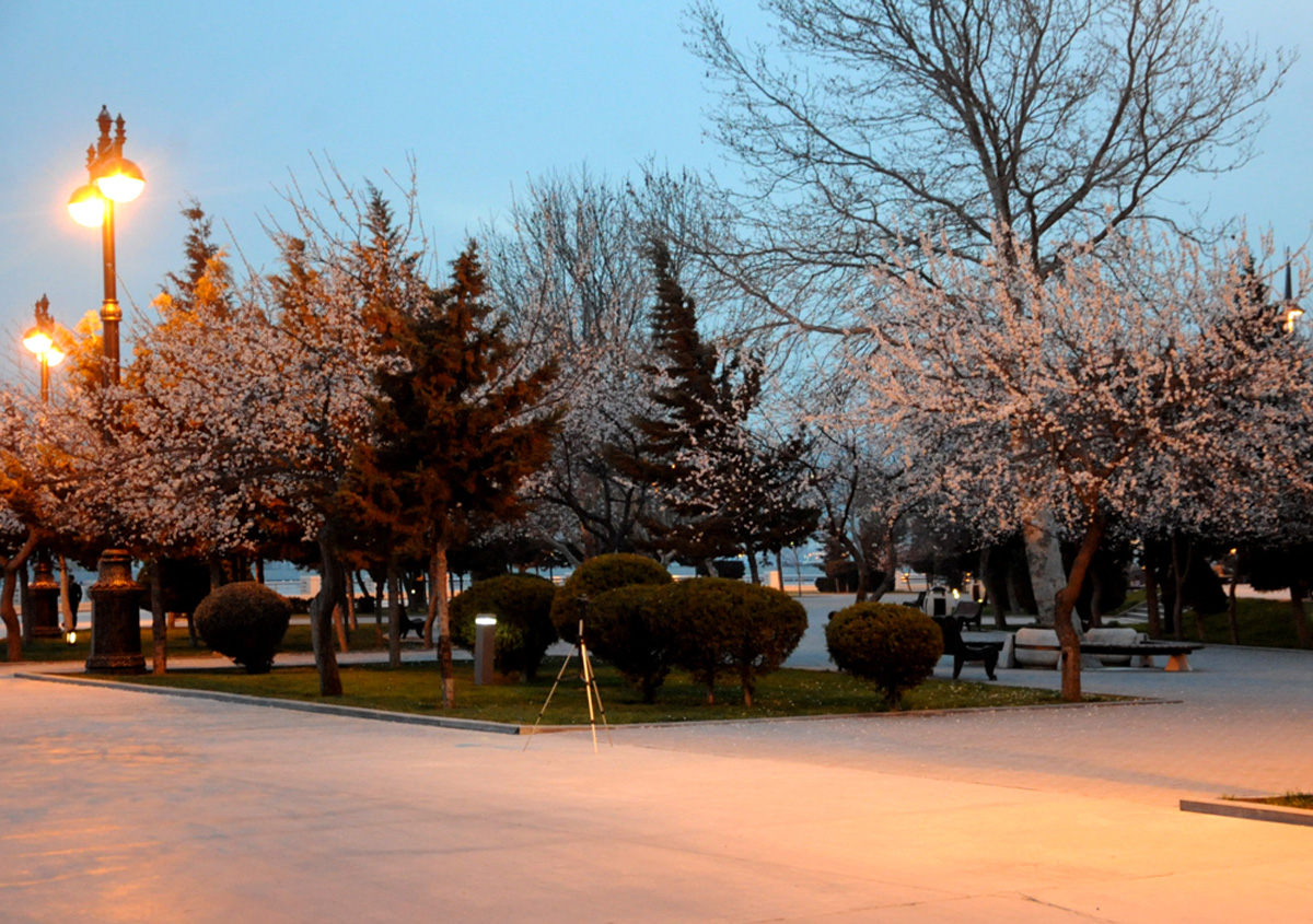 В Баку пришла весна (ФОТО)