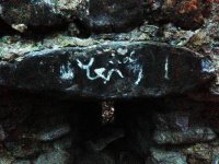 Тайны древнего Азербайджана – Крепость Шамиля, отважная Пери, Албанские храмы (ФОТО)