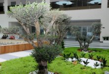 Новый Бакинский стрелковый центр готов к первым Европейским играм (ФОТО)