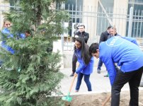 В Баку по инициативе Лейлы Алиевой состоялась озеленительная акция (ФОТО)