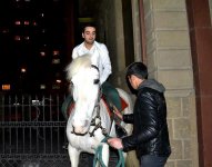 Белый конь и голубь Ильхамы Гулиевой (ФОТО)