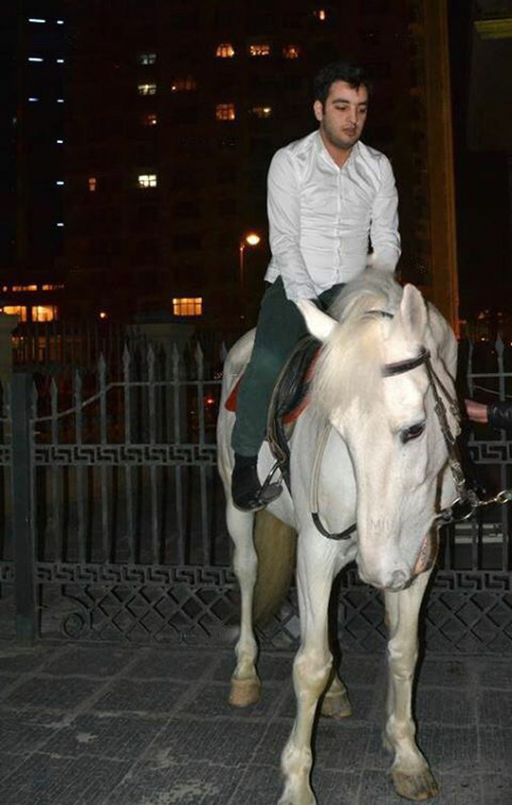 Белый конь и голубь Ильхамы Гулиевой (ФОТО)