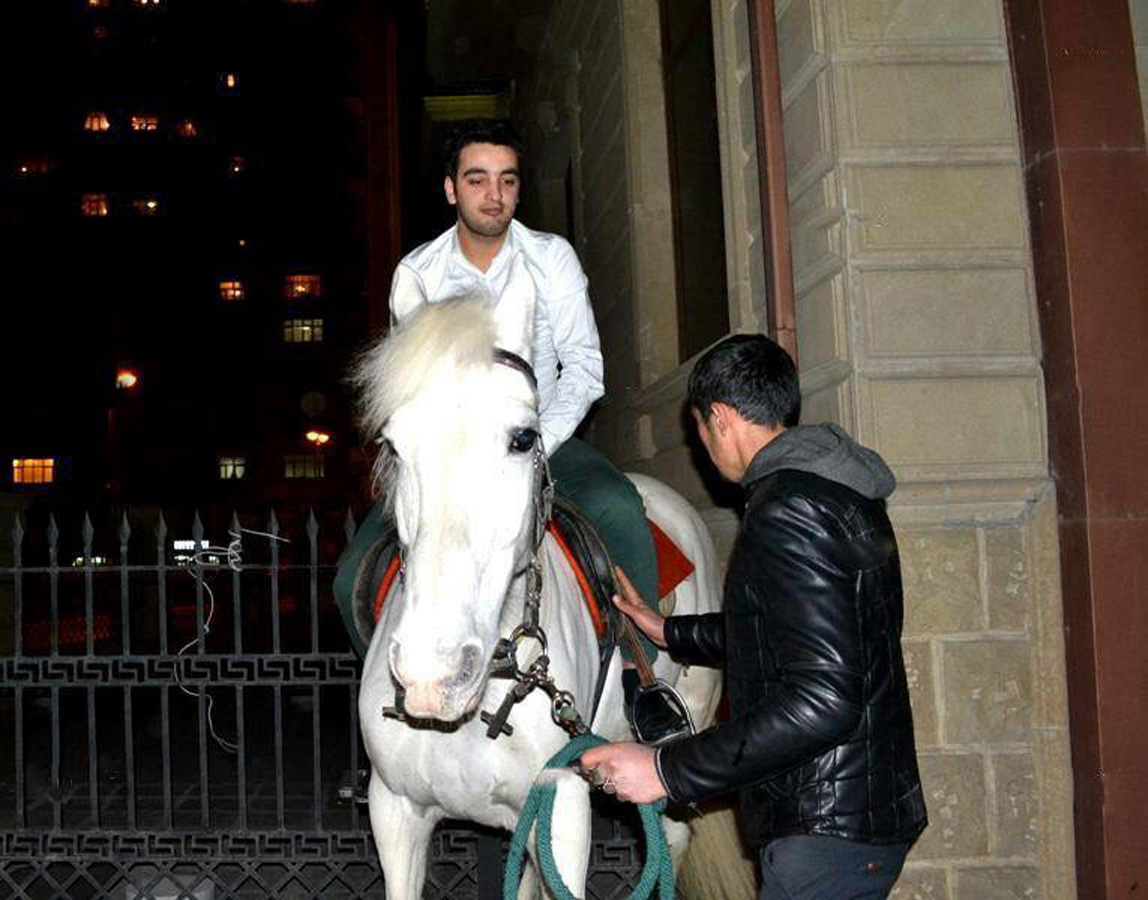 Белый конь и голубь Ильхамы Гулиевой (ФОТО)