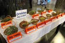 Шашлыки, мёд, золото, серебро и ашуги – великолепие горного Гедабека (ФОТО)