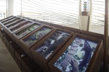 Открылась выставка “Milan Expo 2015”, где представлен национальный павильон Азербайджана (ФОТО)