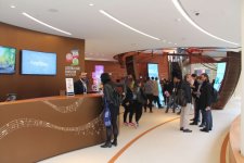 Открылась выставка “Milan Expo 2015”, где представлен национальный павильон Азербайджана (ФОТО)