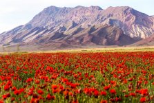 Земля пророка Ноя в преддверии Евроигр в Баку (ФОТО)