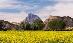 Земля пророка Ноя в преддверии Евроигр в Баку (ФОТО)