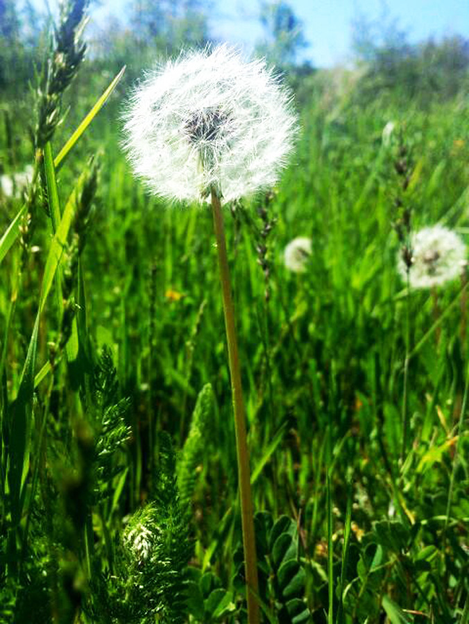 Земля пророка Ноя в преддверии Евроигр в Баку (ФОТО)