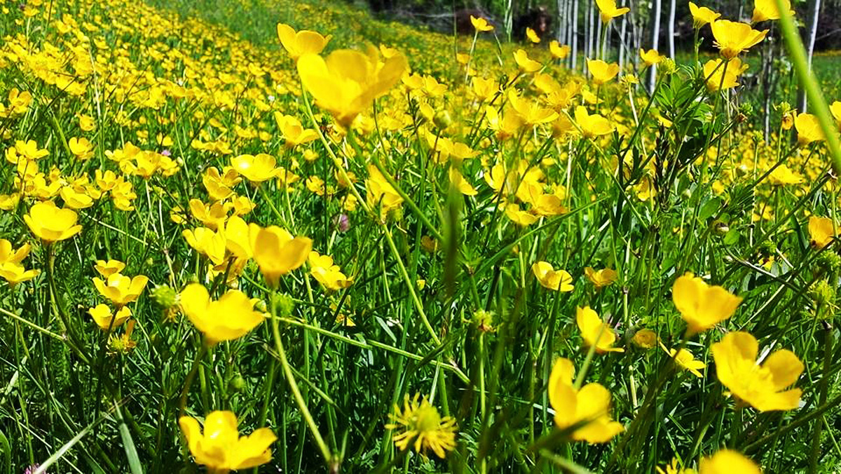 Земля пророка Ноя в преддверии Евроигр в Баку (ФОТО)