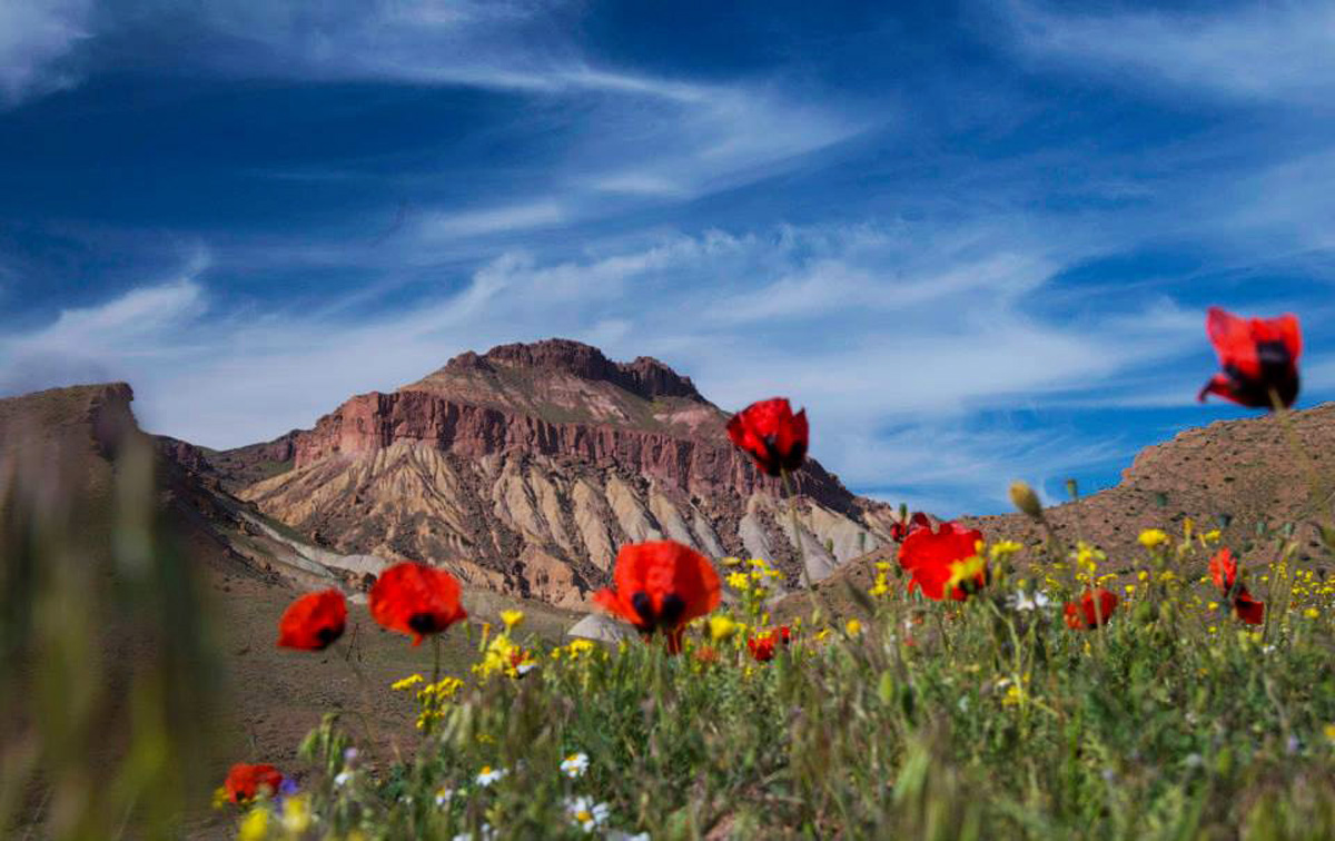 Земля пророка Ноя в преддверии Евроигр в Баку (ФОТО)