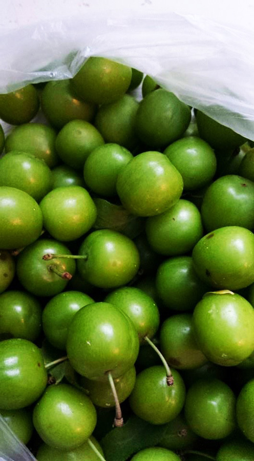 Земля пророка Ноя в преддверии Евроигр в Баку (ФОТО)