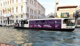 Вице-президент Фонда Гейдара Алиева Лейла Алиева приняла участие в открытии двух выставок в Азербайджанском павильоне в рамках 56-й Венецианской биеннале (ФОТО)