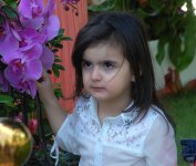 В Баку проводится Праздник цветов (ФОТО)