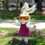 В Баку проводится Праздник цветов (ФОТО)