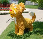 В Баку проводится Праздник цветов (ФОТО)